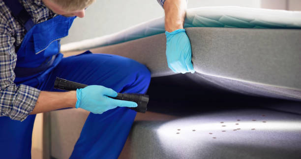 Best Affordable Pest Control Services  in Perryman, MD