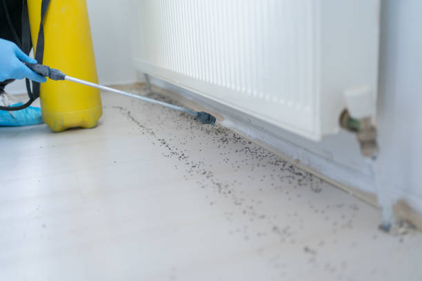 Reliable Perryman, MD Pest Control Solutions